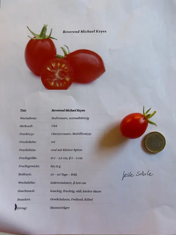 Tomaten: Rev. Michael keyes