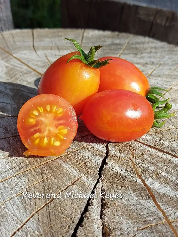 Tomaten: Reverend Michael Keyes