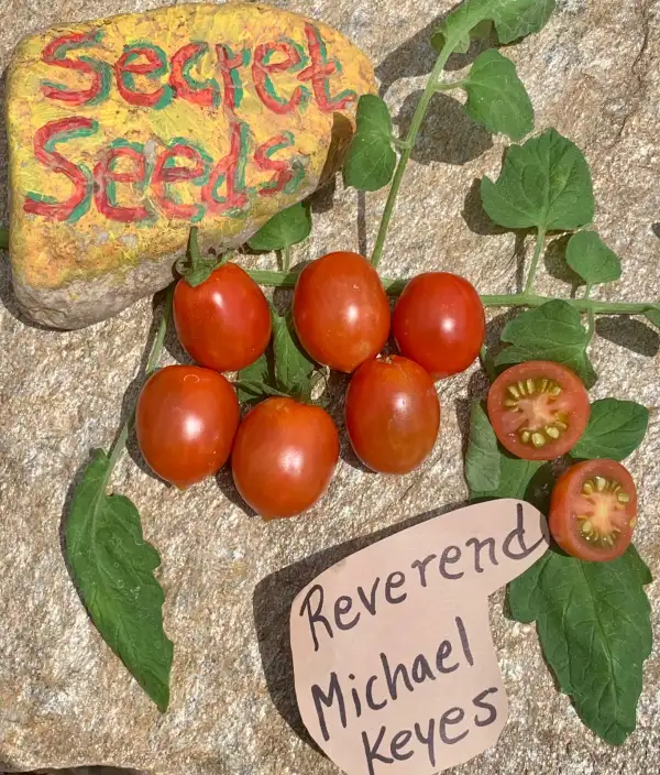 Tomaten: Reverend Michael Keyes
