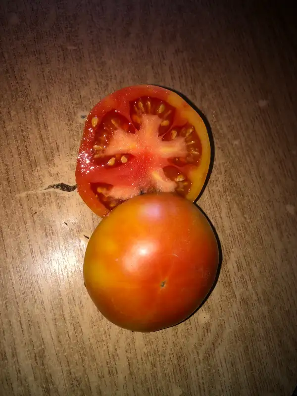 Tomaten: Reverend Morrow