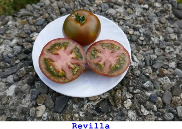 Tomaten: Revilla