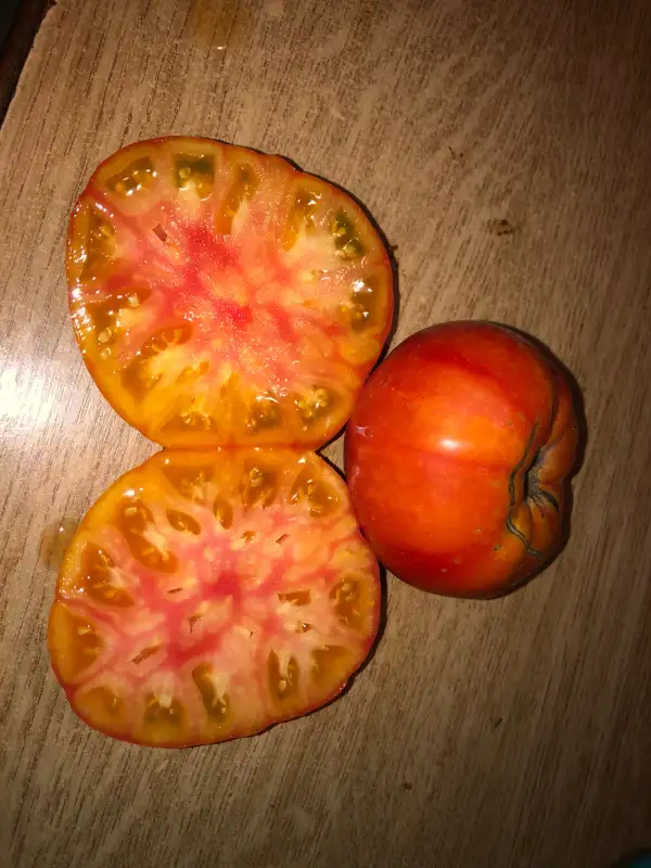 Tomaten: Rhoades Heirloom