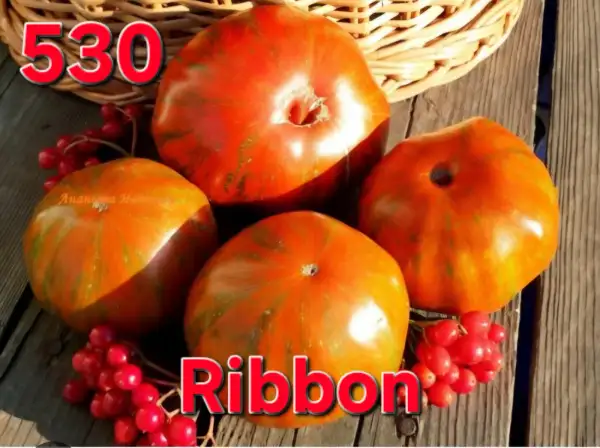 Tomaten: Ribbon