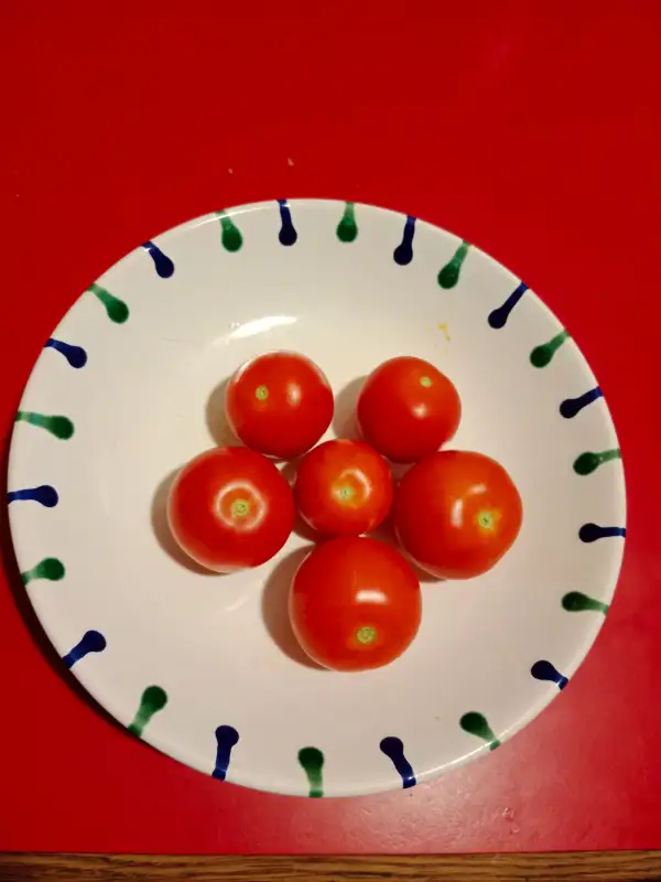 Tomaten: Ricca