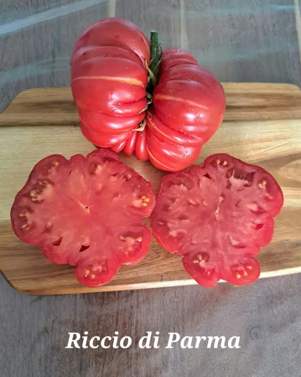 Tomaten: Riccio di Parma