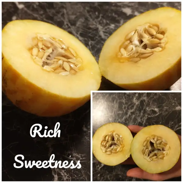 Obst: Rich Sweetness Honigmelone