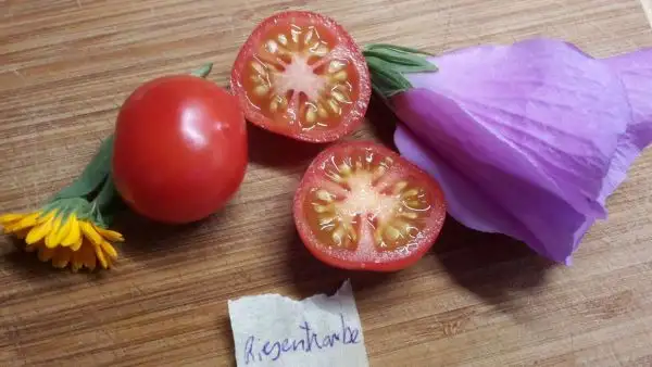 Tomaten: Riesentraube