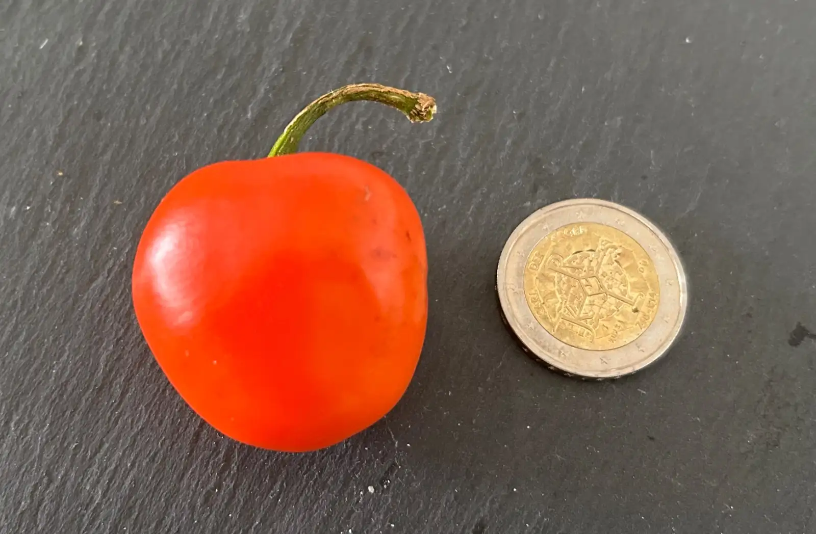 Chili / Paprika: Rocoto Puna Pica Orange
