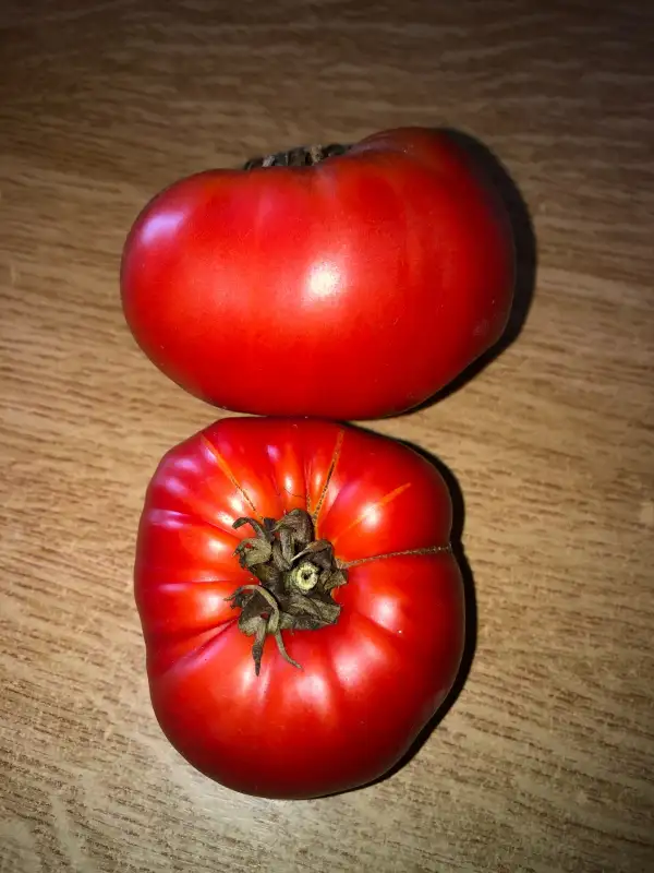 Tomaten: Roja Negra de Lucas