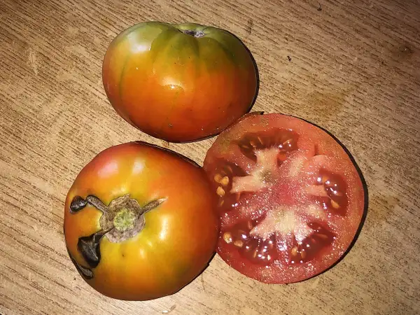 Tomaten: Rojo de la Vega de Jaén