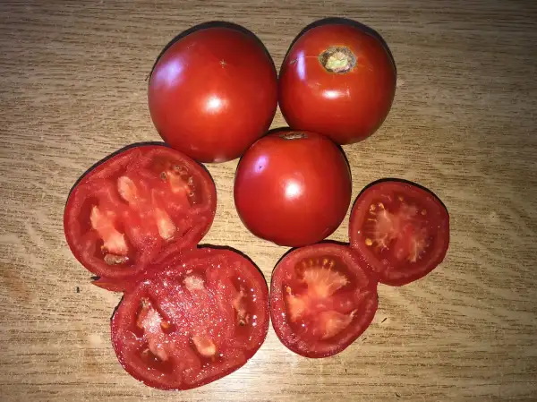 Tomaten: Rojo Gordo de Bogarra