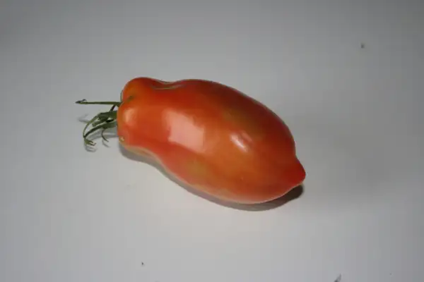 Tomaten: Roma