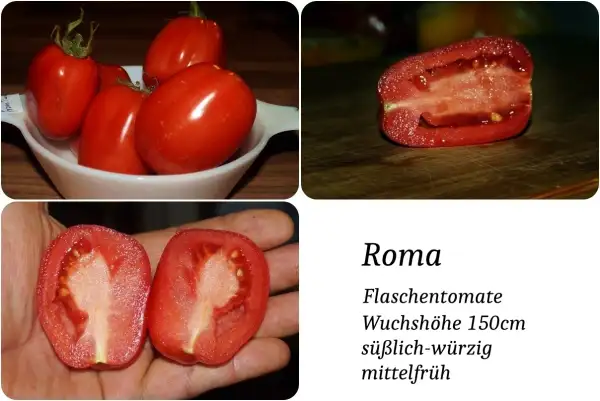 Tomaten: Roma