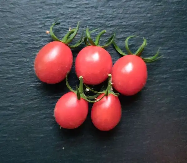 Tomaten: Roma Cherry