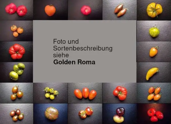 Tomaten: Roma Gold