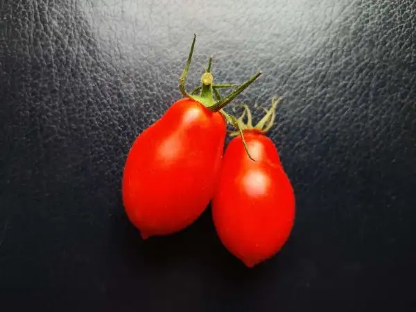 Tomaten: Roma Nano