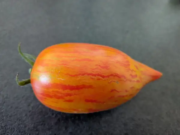Tomaten: Roman Striped