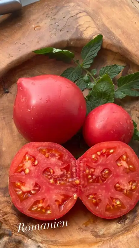 Tomaten: Romanien