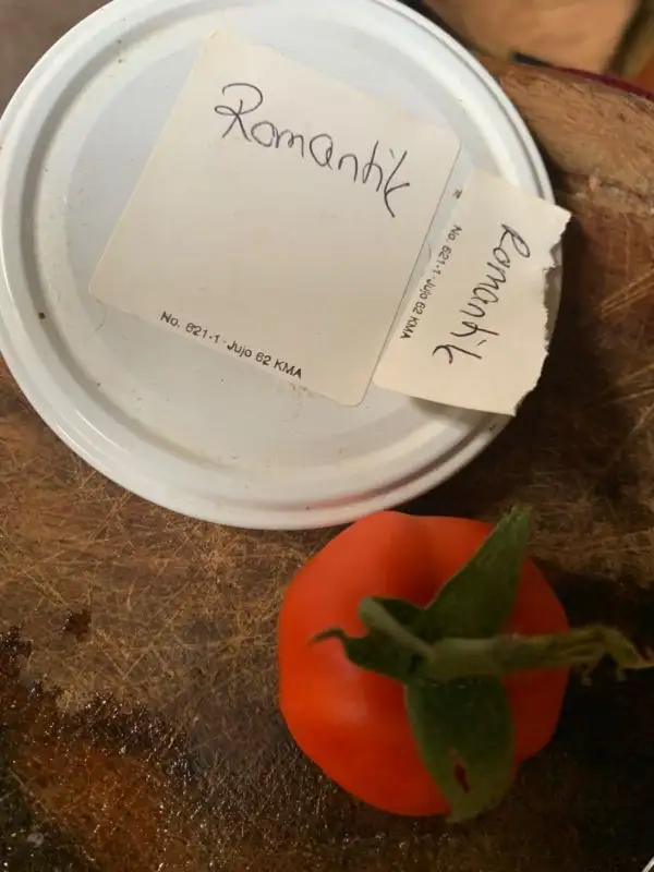 Tomaten: Romantik