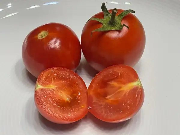 Tomaten: Rondobella - Stabtomate