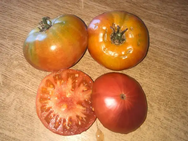 Tomaten: Rosa Antiguo de Graná