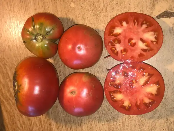 Tomaten: Rosa de Alhendín