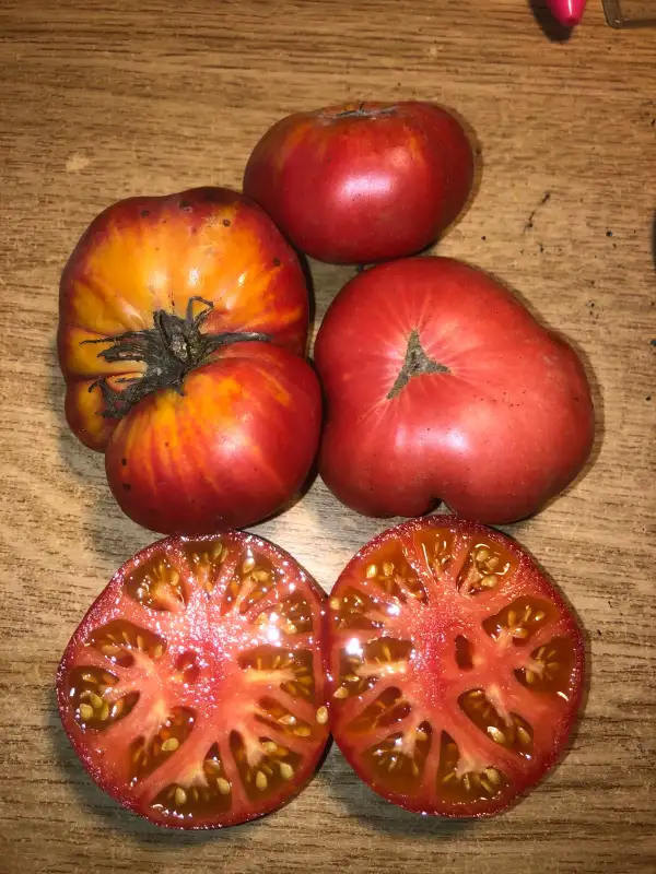 Tomaten: Rosa de Perales