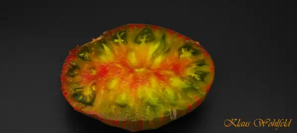 Tomaten: Rosa Gericht