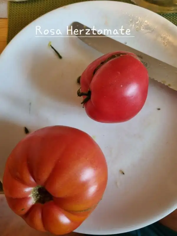 Tomaten: Rosa Herztomate