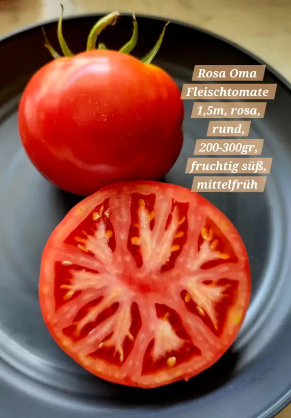 Tomaten: Rosa Oma