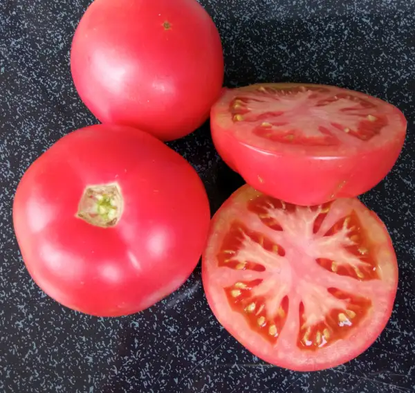 Tomaten: Rosa Oma