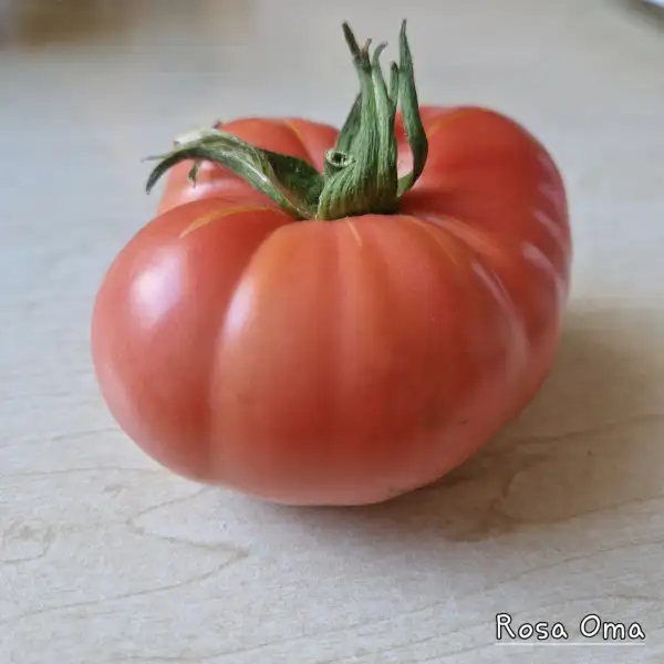 Tomaten: Rosa Oma
