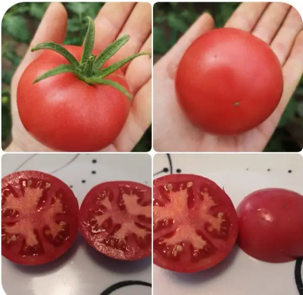 Tomaten: Rosa Oma