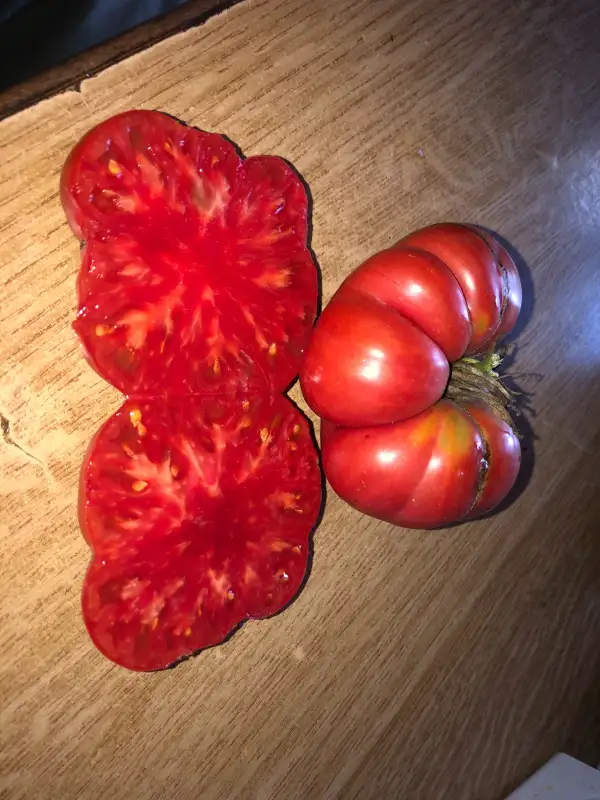 Tomaten: Rosado de la Sierra Aracena