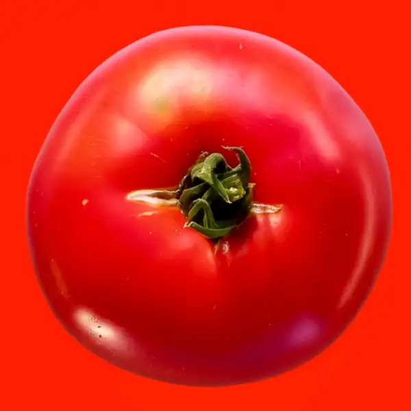 Tomaten: Rosado Navarro