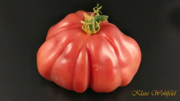 Tomaten: Rosamunda