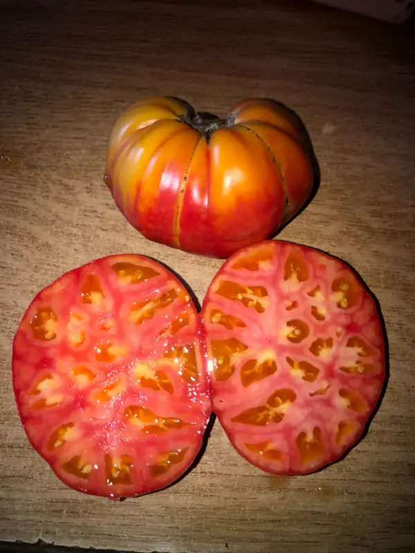 Tomaten: Rose d