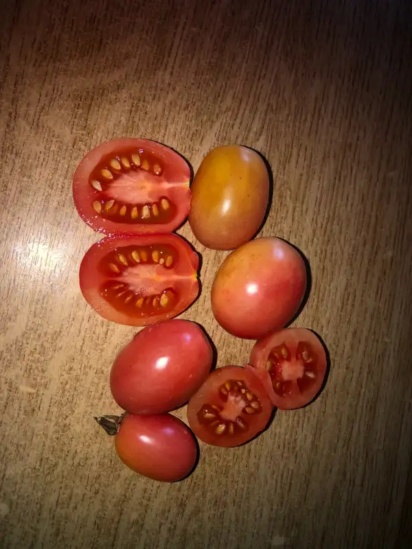 Tomaten: Rose de Podlaki