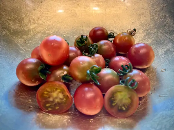 Tomaten: Rosella Multiflora