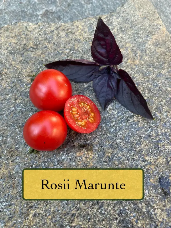Tomaten: Rosii Marunte