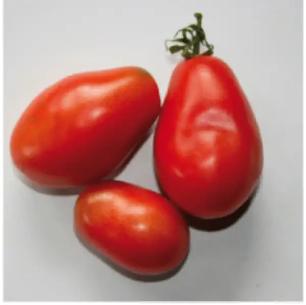Tomaten: Rosovij Perzevidnij