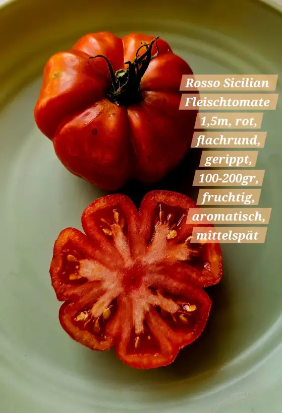 Tomaten: Rosso Sicilian