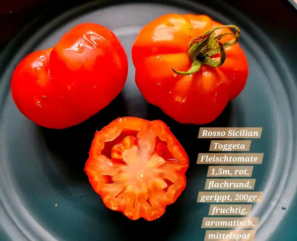 Tomaten: Rosso Sicilian Toggeta