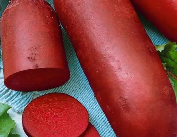 andere Gemüse: Rote Beete "Rocket"