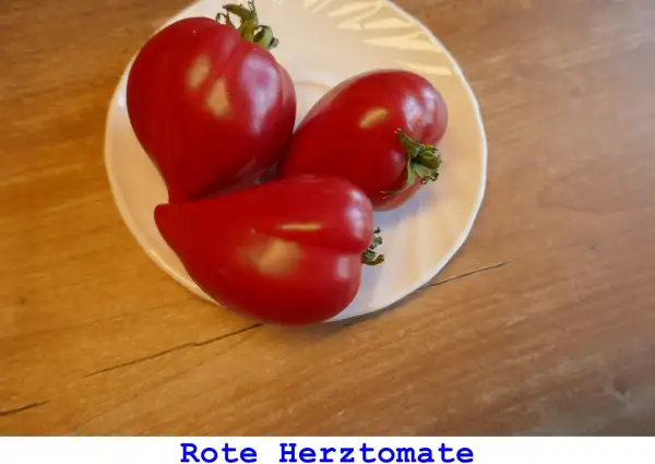 Tomaten: Rote Herztomate