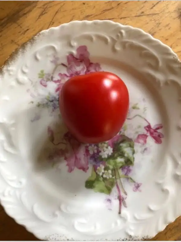 Tomaten: Rote Mirabelle