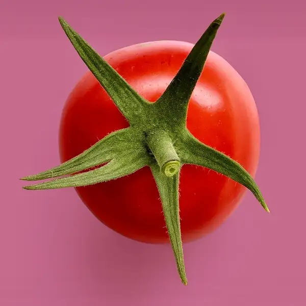 Tomaten: Rote Murmel