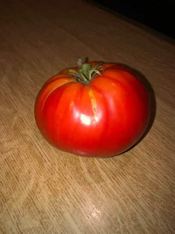 Tomaten: Roteño