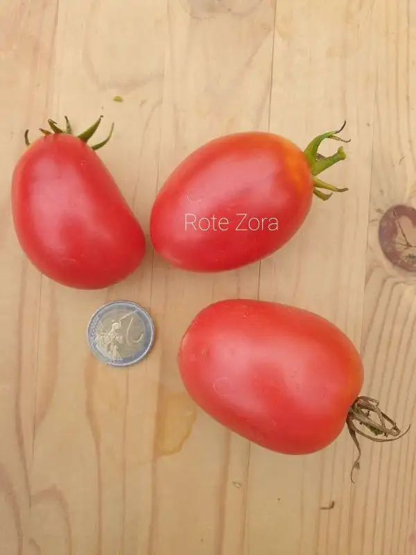 Tomaten: Rote Zora