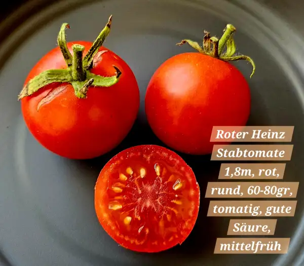 Tomaten: Roter Heinz